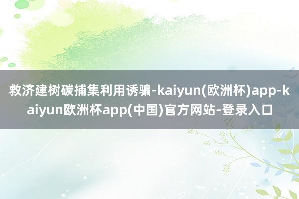 救济建树碳捕集利用诱骗-kaiyun(欧洲杯)app-kaiyun欧洲杯app(中国)官方网站-登录入口