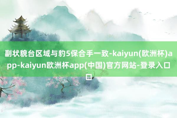 副状貌台区域与豹5保合手一致-kaiyun(欧洲杯)app-kaiyun欧洲杯app(中国)官方网站-登录入口