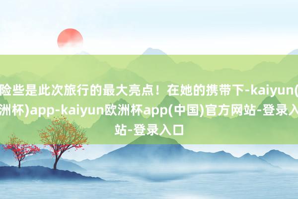 险些是此次旅行的最大亮点！在她的携带下-kaiyun(欧洲杯)app-kaiyun欧洲杯app(中国)官方网站-登录入口