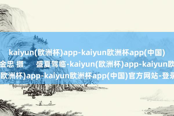 kaiyun(欧洲杯)app-kaiyun欧洲杯app(中国)官方网站-登录入口 王金忠 摄      　　盛夏驾临-kaiyun(欧洲杯)app-kaiyun欧洲杯app(中国)官方网站-登录入口