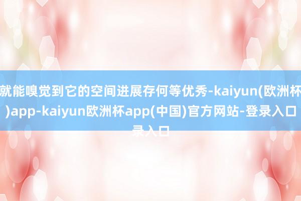 就能嗅觉到它的空间进展存何等优秀-kaiyun(欧洲杯)app-kaiyun欧洲杯app(中国)官方网站-登录入口