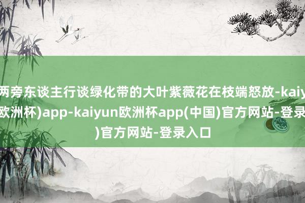 两旁东谈主行谈绿化带的大叶紫薇花在枝端怒放-kaiyun(欧洲杯)app-kaiyun欧洲杯app(中国)官方网站-登录入口