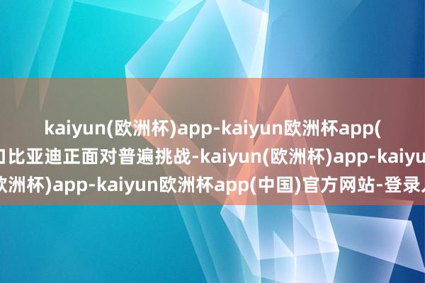 kaiyun(欧洲杯)app-kaiyun欧洲杯app(中国)官方网站-登录入口比亚迪正面对普遍挑战-kaiyun(欧洲杯)app-kaiyun欧洲杯app(中国)官方网站-登录入口