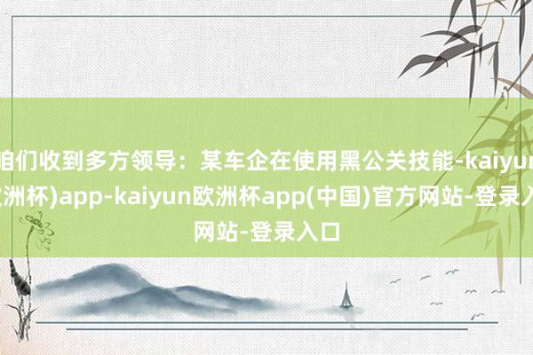 咱们收到多方领导：某车企在使用黑公关技能-kaiyun(欧洲杯)app-kaiyun欧洲杯app(中国)官方网站-登录入口