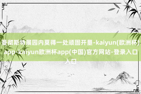 曼彻斯特展园内莫得一处顽固开垦-kaiyun(欧洲杯)app-kaiyun欧洲杯app(中国)官方网站-登录入口