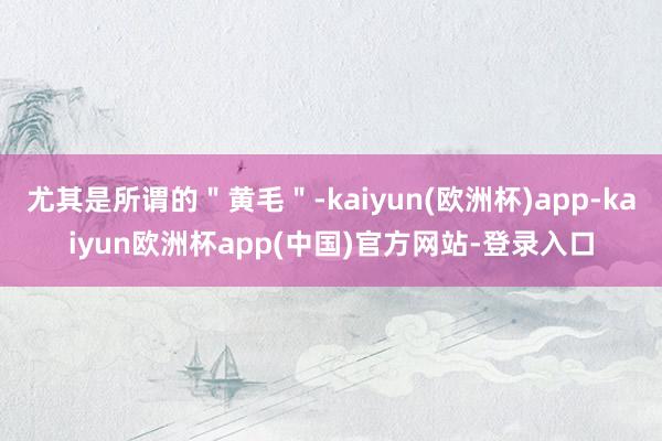 尤其是所谓的＂黄毛＂-kaiyun(欧洲杯)app-kaiyun欧洲杯app(中国)官方网站-登录入口